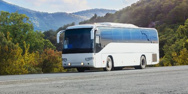 Micro-ônibus Executivo 20 lugares - Frota Vitra Van